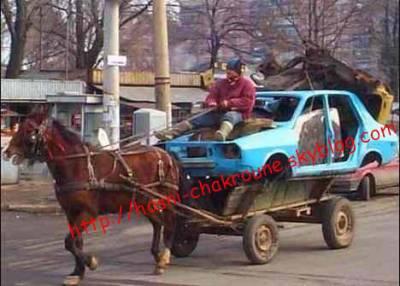 chof 3la hala