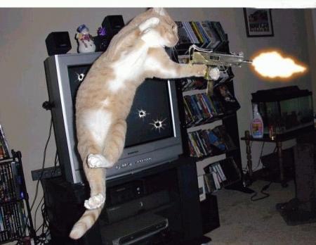 matrix