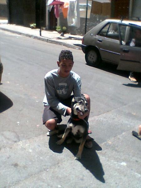 slt jrada